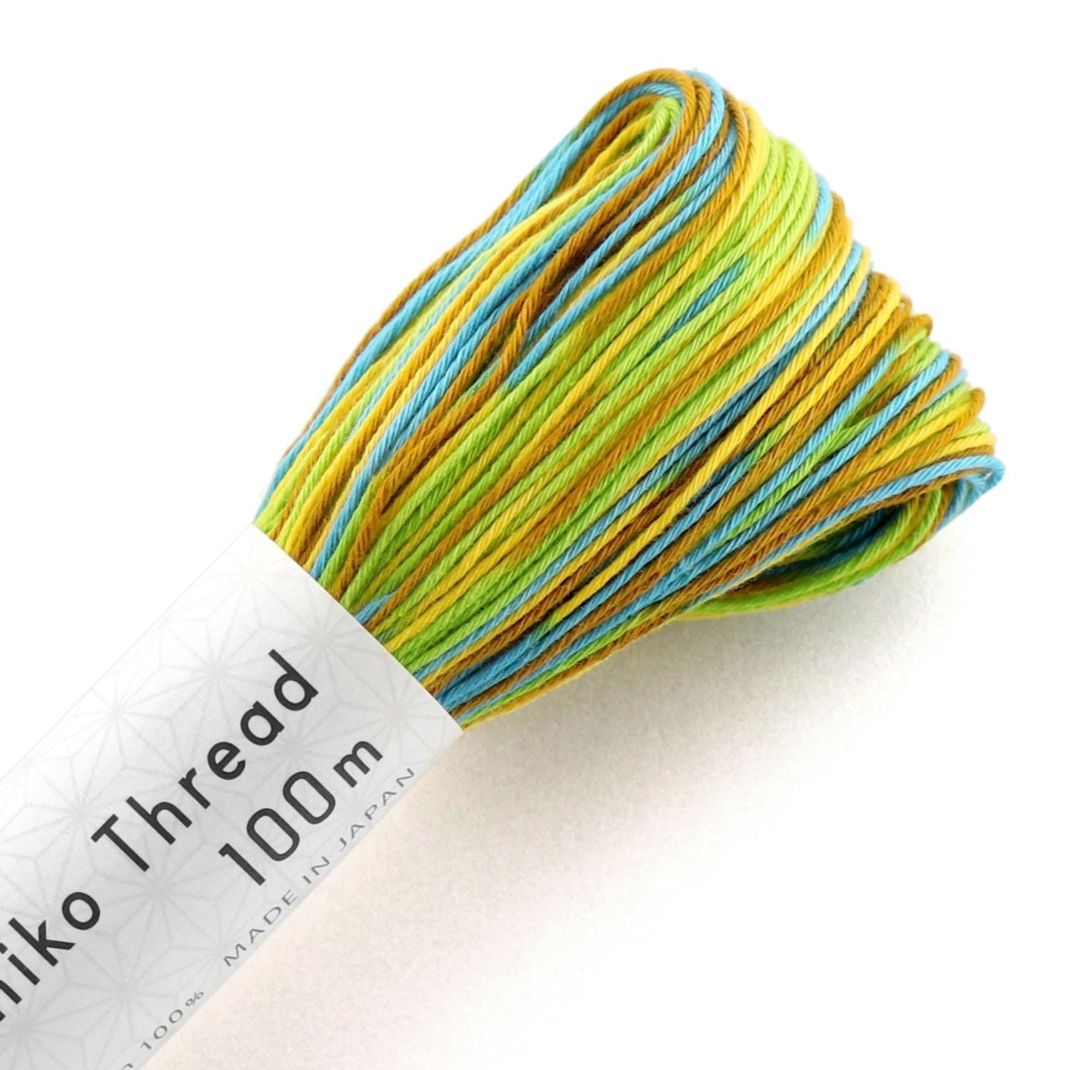 Olympus - Cotton Sashiko Thread 100m Skein - Variegated #171 Spring Meadow